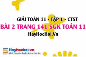 Giải bài 2 trang 141 Toán 11 tập 1 SGK Chân trời sáng tạo